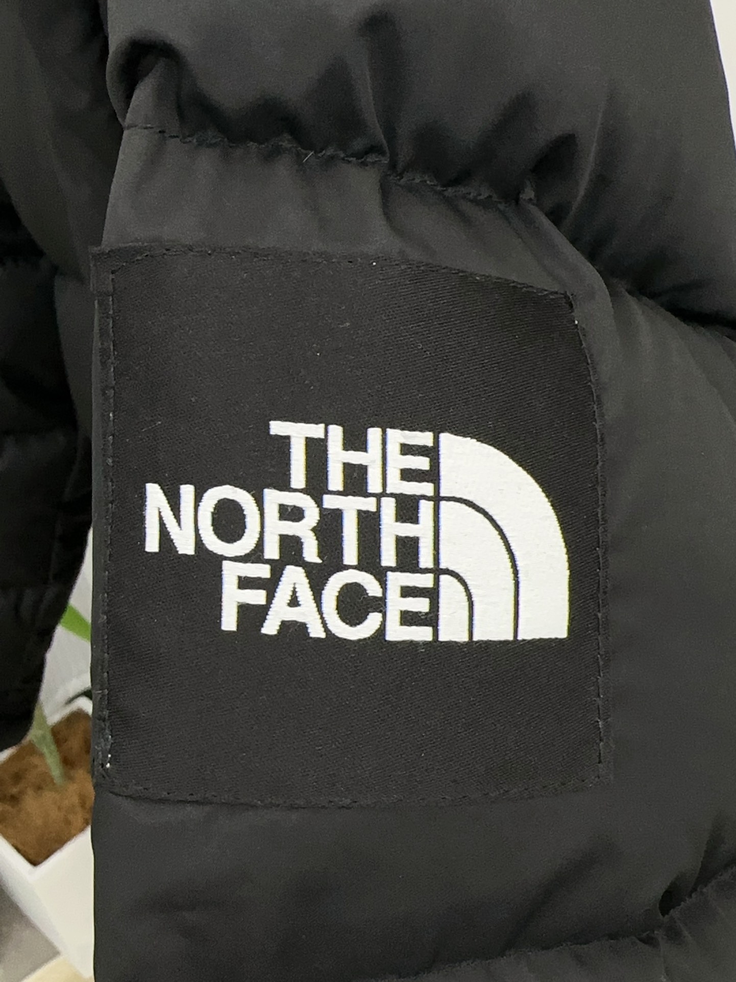 The North Face Down Jackets